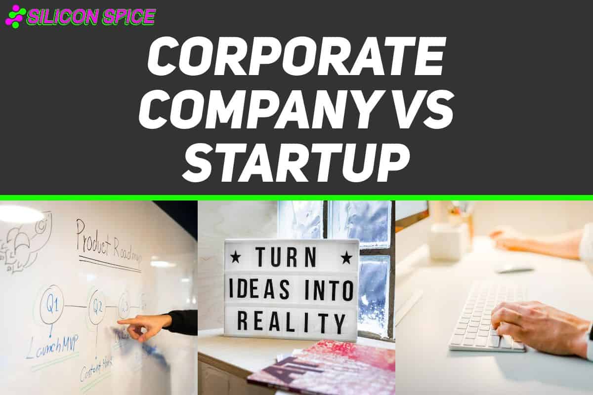 Corporate Company vs Startup