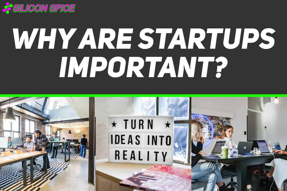 Why Are Startups Important