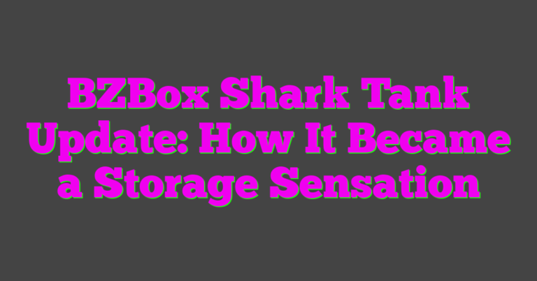 BZBox Shark Tank Update: How It Became a Storage Sensation